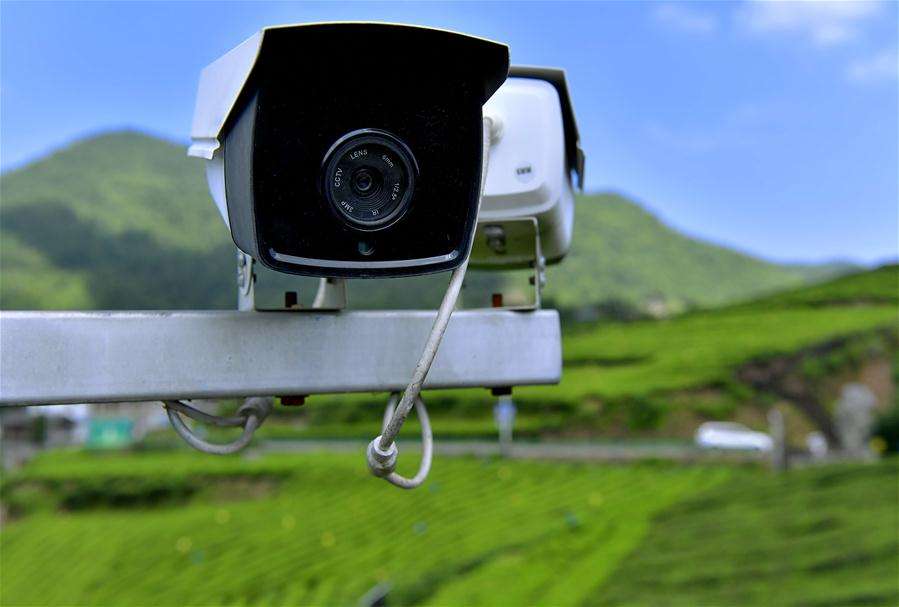 小洋农场企业安防联网视频监控系统投入试运行