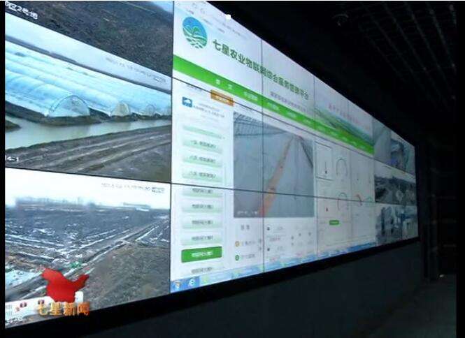  黑龙江畜禽规模养殖场重点区域将安装视频监控