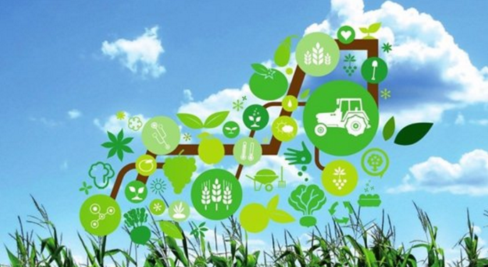 吉林：“互联网+现代农业”推动辽源市生态农业发展 