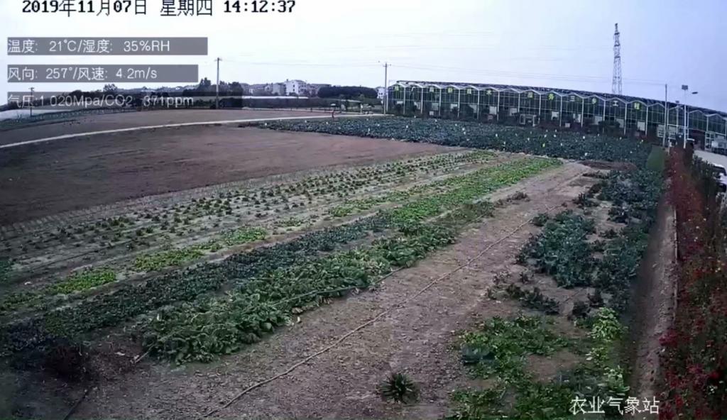 广州XX农业试范基地安装监控摄像头 助智慧农业可视化管理